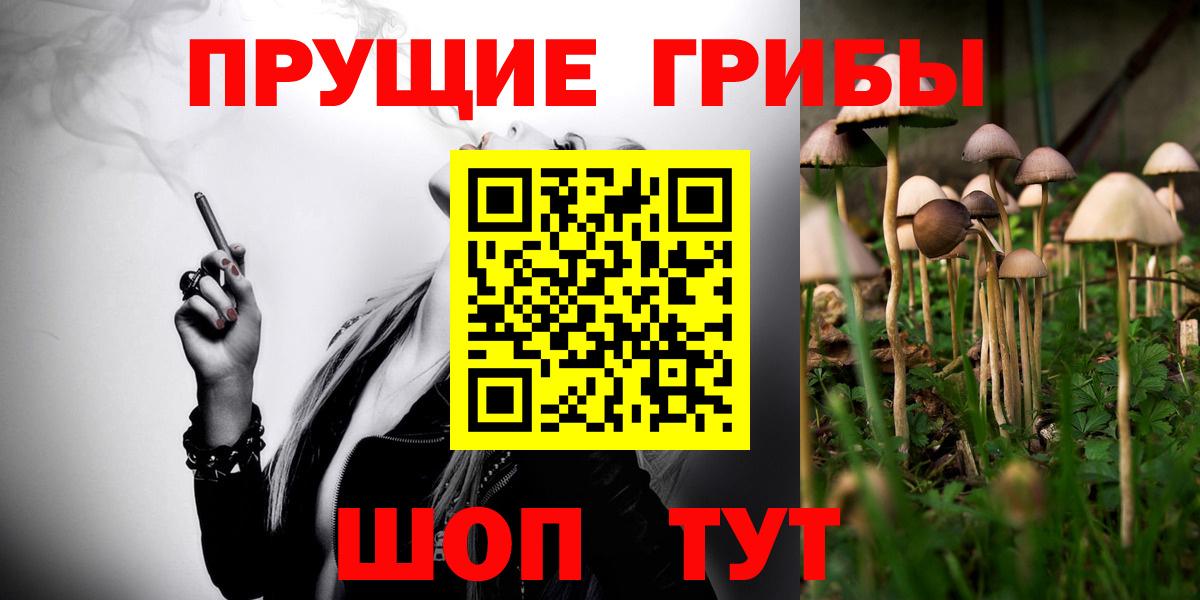 Псилоцибиновые грибы GOLDEN TEACHER  Вход с VPN  Кизилюрт 