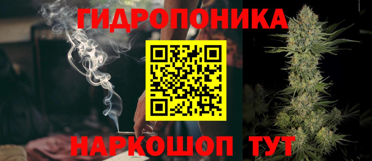 Шишки марихуана White Widow Кизилюрт